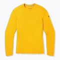 Men's Smartwool Merino 250 Baselayer Crew Boxed honey gold thermal T-shirt 6