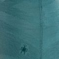 Women's thermal base layer sweatshirt Smartwool Intraknit Thermal Merino Baselayer Pattern Crew cascade 6