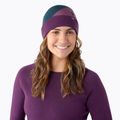 Smartwool Thermal Merino Colorblock winter hat twilight blue heather 5