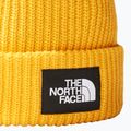 The North Face Salty summit gold cap 2