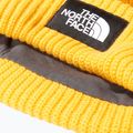 The North Face Salty summit gold cap 3