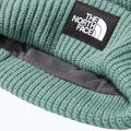 The North Face Salty dark sage winter beanie 3