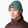 The North Face Salty dark sage winter beanie 4