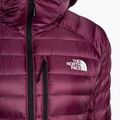 Women's winter jacket The North Face Summit Breithorn Hoodie boysenberry 7