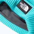 The North Face Salty apres blue cap 3