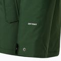 Men's winter jacket The North Face Zaneck Jacket pine needle 9