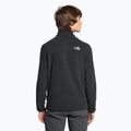 Men's fleece sweatshirt The North Face Homesafe Snap Neck Fleece Pullover black 2