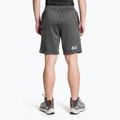 Men's The North Face Ma Fleece anthracite grey/black shorts 2