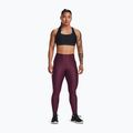 Under Armour women's training leggings HG Armour HiRise dark maroon/black 2