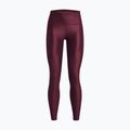 Under Armour women's training leggings HG Armour HiRise dark maroon/black 5