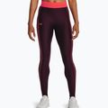 Under Armour Branded WB women's leggings dark maroon/beta