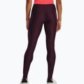 Under Armour Branded WB women's leggings dark maroon/beta 2