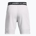 Men's training shorts Under Armour Ua Vanish Woven 8in halo gray/black 6