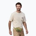 Patagonia Ultralight Black Hole Mini Hip Pack 1 l buckhorn green waistbag 3