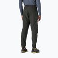 Men's trekking trousers Patagonia Nano-Air Light Bottoms black 3
