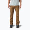 Men's Patagonia Terravia Trail Regular coriander brown trekking trousers