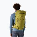 Hiking backpack Patagonia Ascensionist 55 l graze green 4