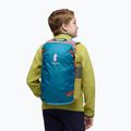 Cotopaxi Allpa Mini Travel Backpack 20 l del dia 7