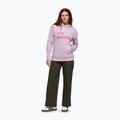 Women's Cotopaxi Do Good Pullover Hoodie antique 2