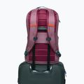 Urban backpack Cotopaxi Allpa Daypack 26 l fig 6