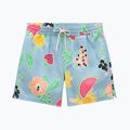 Men's Vans Primary Print Elastic Boardshort Shorts