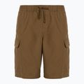 Men's Vans Range Cargo Loose Shorts