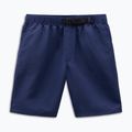 Men's Vans Range Nylon Loose Shorts