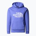 Children's sweatshirt The North Face Drew Peak Light Hoodie dopamine blue