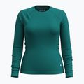 Women's Smartwool Merino 250 Baselayer Crew Boxed thermal longsleeve emerald green 3