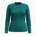 Women's thermal base layer sweatshirt Smartwool Merino 250 Baselayer Crew Boxed emerald green 3