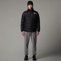 Men's down jacket The Nort Face Terra Peak black 2