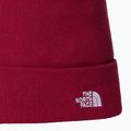 Men's trekking cap The North Face Norm Beanie beetroot 2