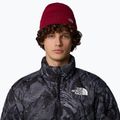 Men's trekking cap The North Face Norm Beanie beetroot 3