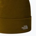 Men's trekking cap The North Face Norm Beanie moss green 2