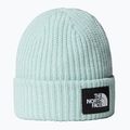 The North Face Salty muted pine children's winter beanie