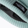 The North Face Salty muted pine children's winter beanie 3