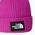 The North Face Salty deep mulberry children's winter beanie 2