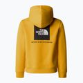 Children's sweatshirt The North Face Teen Redbox Regular P/O summit gold 4