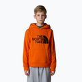 The North Face Drew Peak P/O Hoodie orange children's sweatshirt