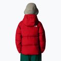 Children's down jacket The North Face North Down Hooded red 3