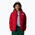 Children's down jacket The North Face North Down Hooded red 4