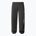 Men's trousers The North Face Varsity Graphic medium grey heather