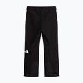 Men's ski trousers The North Face Descendit tnf black 4