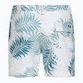 Quiksilver Wild Fern Volley 17" Men's Swim Shorts 2