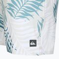 Quiksilver Wild Fern Volley 17" Men's Swim Shorts 3