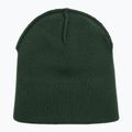 Winter hat 47 Brand MLB New York Yankees Thorn dark green 4