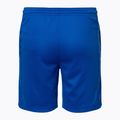 Nike Trophy 23 Dri-Fit game royal children's shorts 2