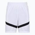 Men's basketball shorts Nike Icon Dri-Fit 8" white/white/black/black