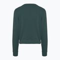 Nike Dri-FIT One Crew Neck French Terry women's sweatshirt vintage green/ black 2