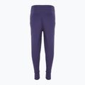 Nike Sportswear Club Fleece children's trousers dark raisin / dark raisin / white 2